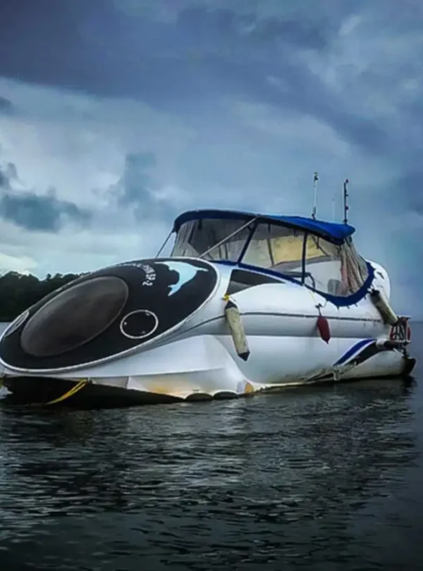 dolphin ride