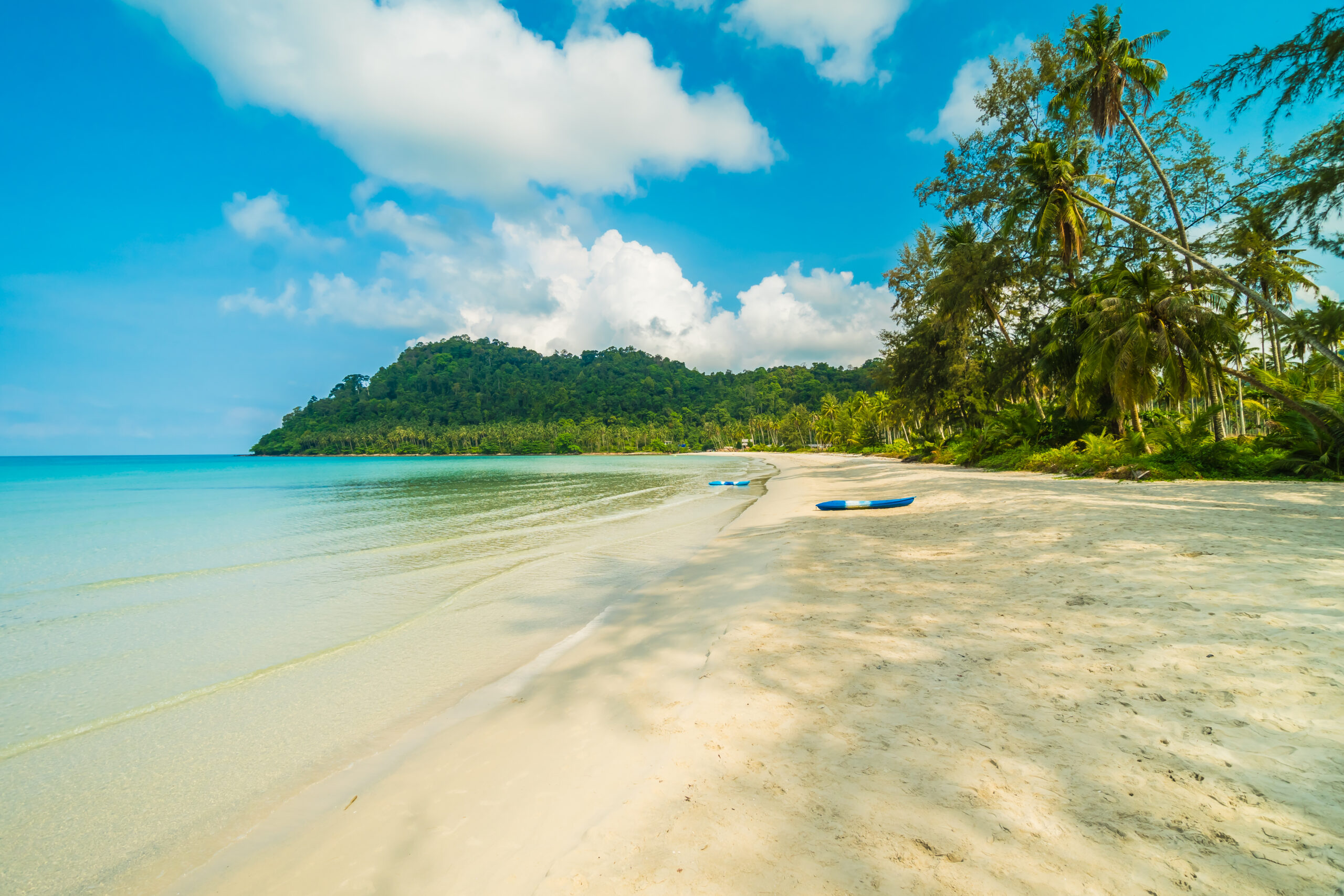 beautiful tropical beach sea scaled